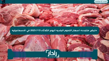 «نبض متجدد» أسعار اللحوم البلدية اليوم الثلاثاء 15-7-2025 في الإسماعيلية